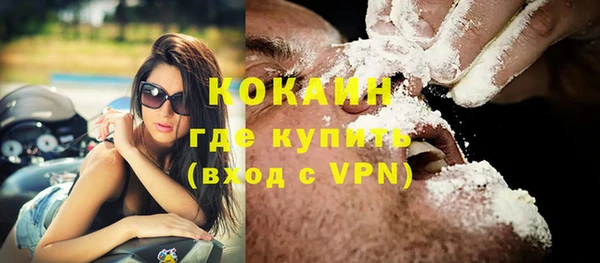 гидра Бердск