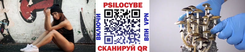 Галлюциногенные грибы Psilocybine cubensis  KRAKEN рабочий сайт  Болотное 