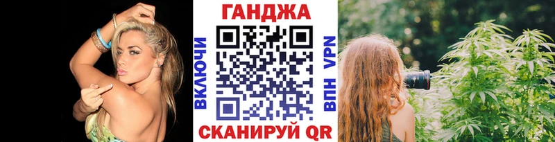 Конопля планчик  Болотное 
